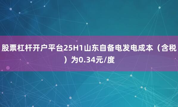 股票杠杆开户平台25H1山东自备电发电成本（含税）为0.34元/度
