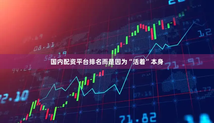 国内配资平台排名而是因为“活着”本身